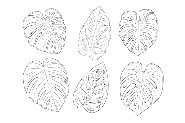 Free Vector hand drawn monstera leaf outline illustration