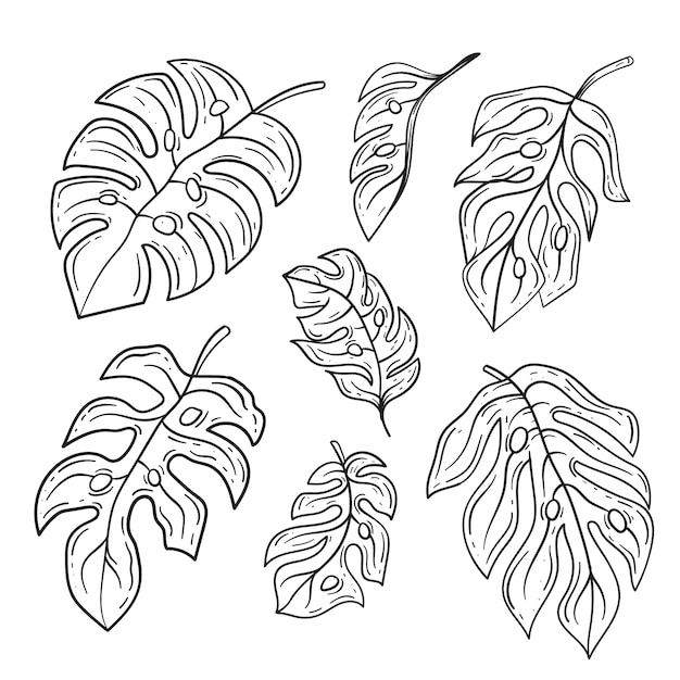 Free Vector hand drawn monstera leaf outline illustration