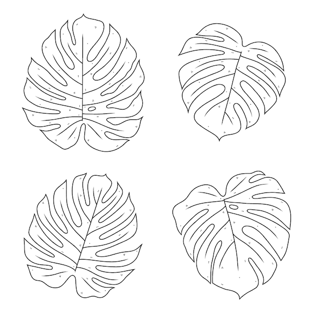 Free Vector hand drawn monstera leaf outline illustration