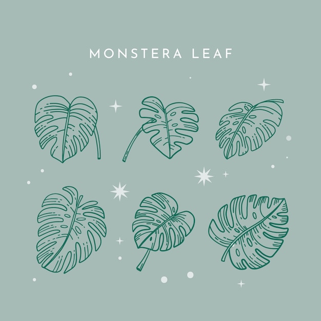 Free Vector hand drawn monstera leaf outline illustration