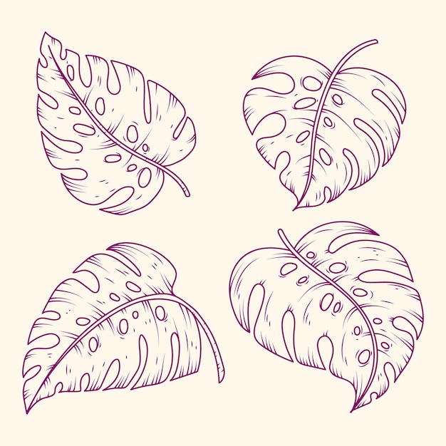 Free Vector hand drawn monstera leaf outline illustration