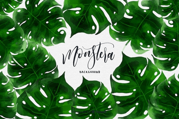 Free Vector hand drawn monstera leaves frame background