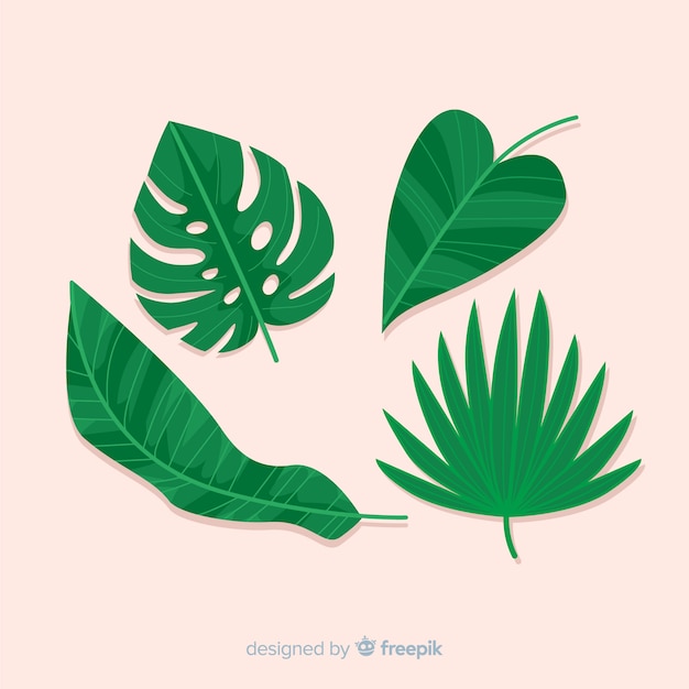 Free Vector hand drawn monstera leaves pack