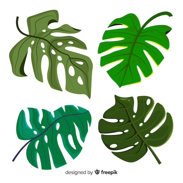 Hand drawn monstera leaves pack