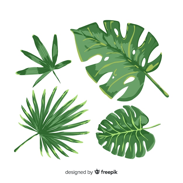 Hand drawn monstera leaves pack