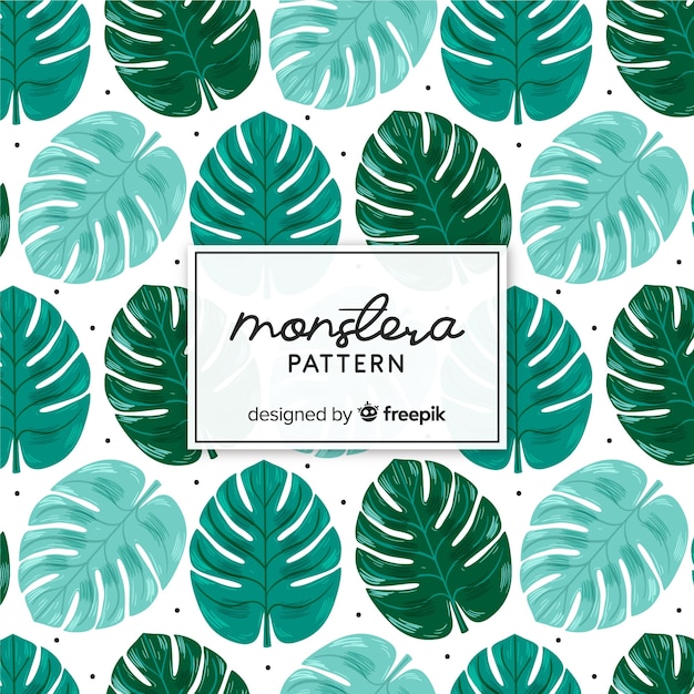 Free Vector hand drawn monstera leaves pattern