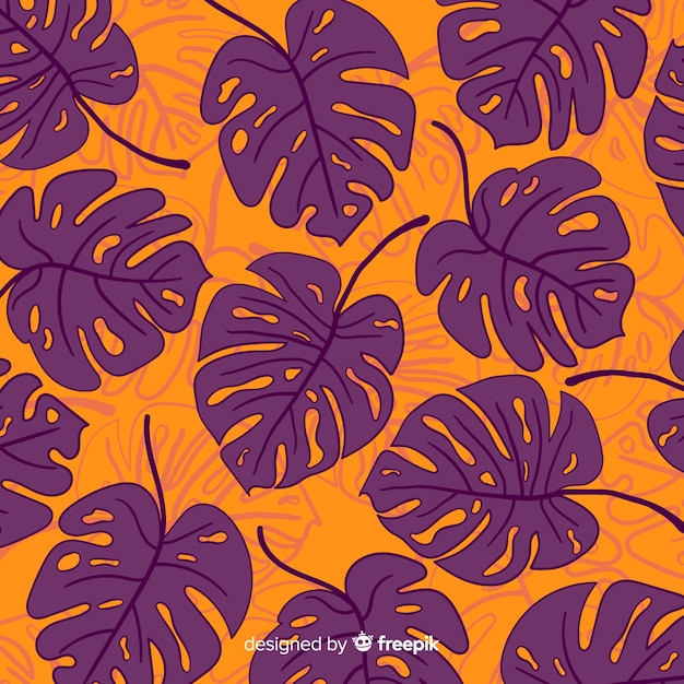 Free Vector hand drawn monstera leaves