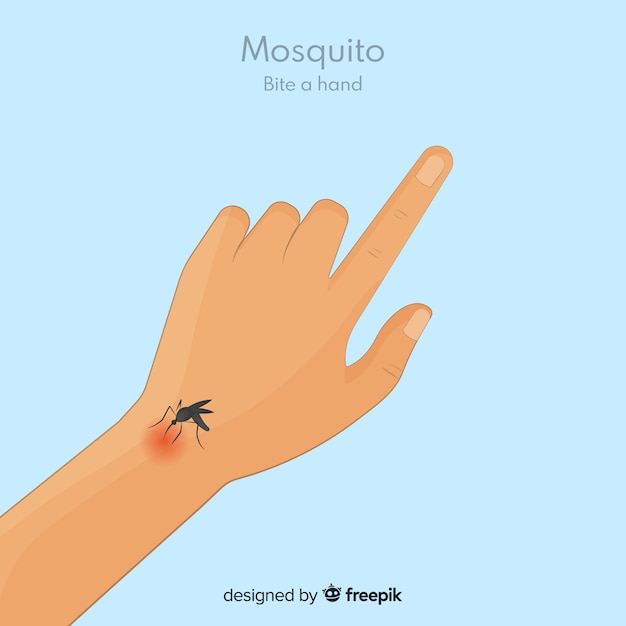 Free Vector hand drawn mosquito biting a hand