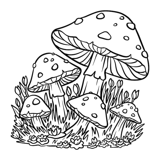 Free Vector hand drawn mushroom illustration