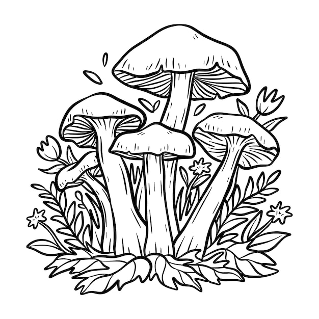 Free vector hand drawn mushroom illustration