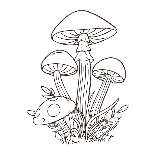 Free vector hand drawn mushroom illustration