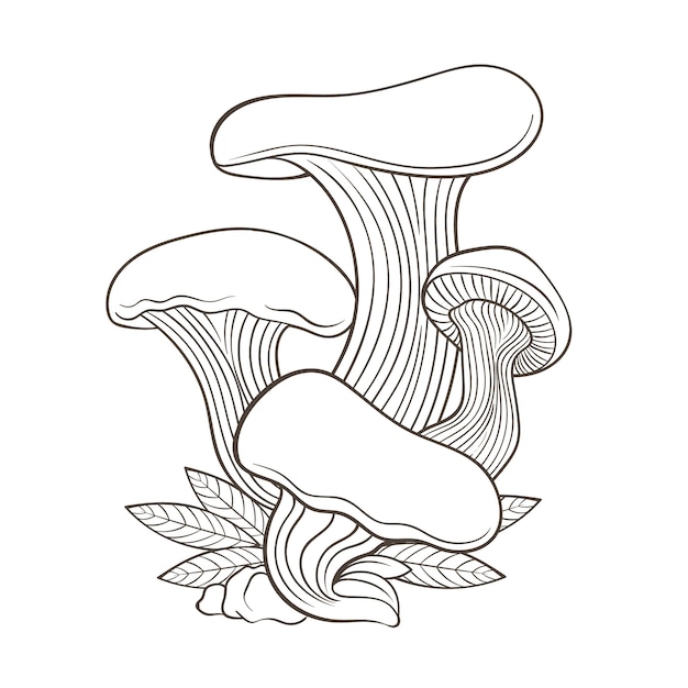 Free vector hand drawn mushroom illustration