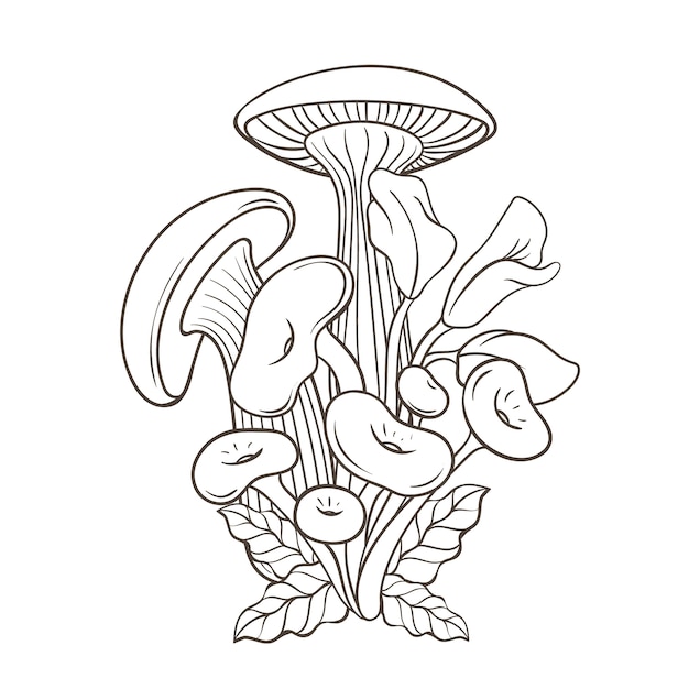 Free vector hand drawn mushroom illustration