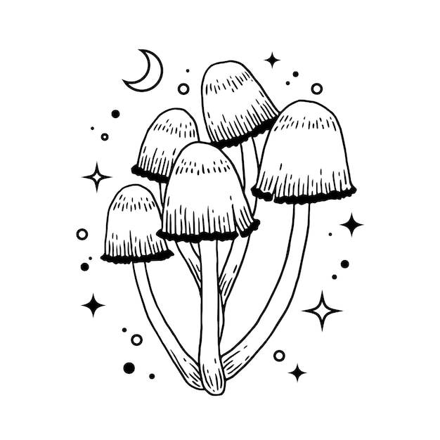 Free vector hand drawn mushroom outline illustration