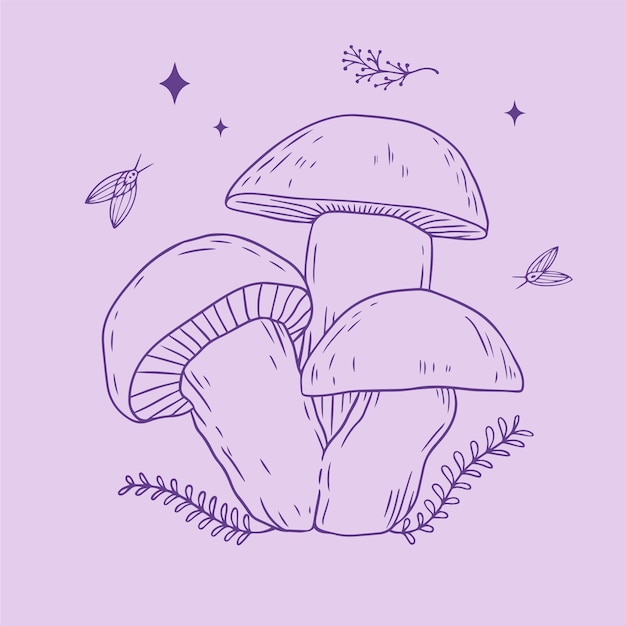 Free Vector hand drawn mushroom outline illustration