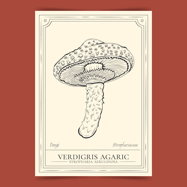 Free vector hand drawn mushroom outline illustration