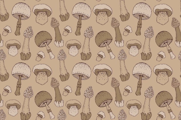 Free vector hand drawn mushroom pattern