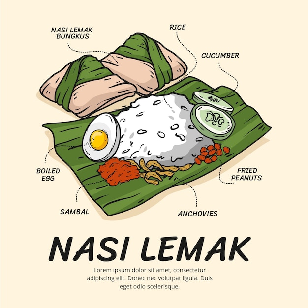 Free Vector hand drawn nasi lemak illustrated