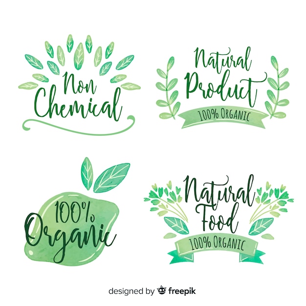 Hand drawn natural food label collection