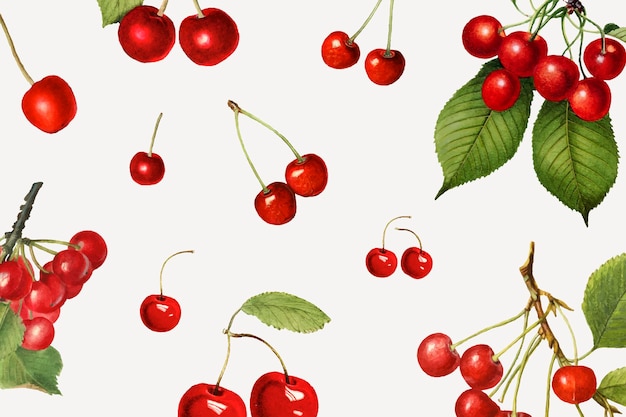 Free Vector hand drawn natural fresh red cherry