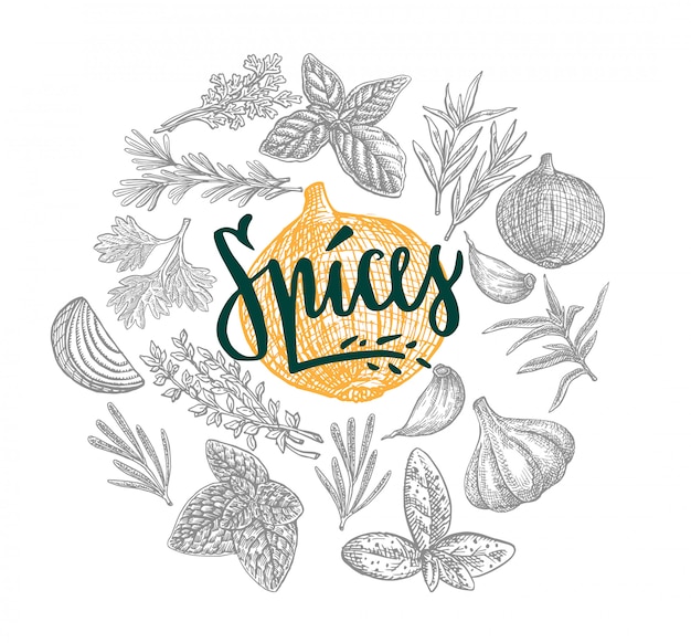 Free Vector hand drawn natural spices round concept