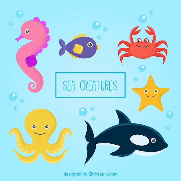 Free Vector hand drawn nice marine creatures pack