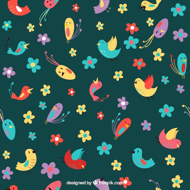 Hand drawn nice pattern with colored birds and flowers 