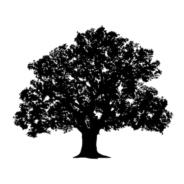 Free Vector hand drawn oak tree silhouette