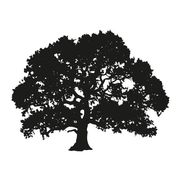 Hand drawn oak tree silhouette