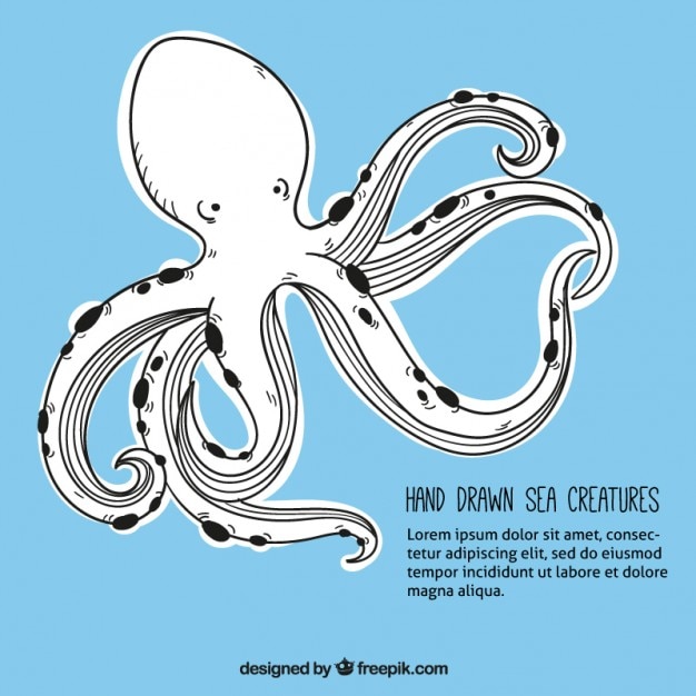 Free vector hand drawn octopus background