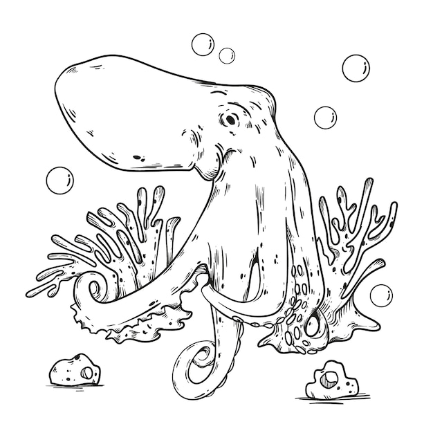 Free Vector hand drawn octopus  outline illustration