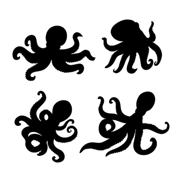 Hand drawn octopus silhouette