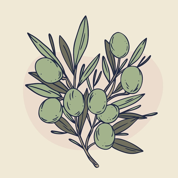 Free vector hand drawn olive branch outline illustration