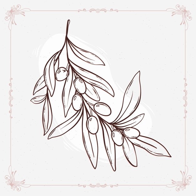 Hand drawn  olive branch outline illustration