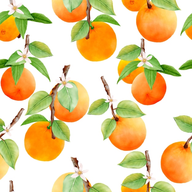 hand drawn orange fruit seamless pattern