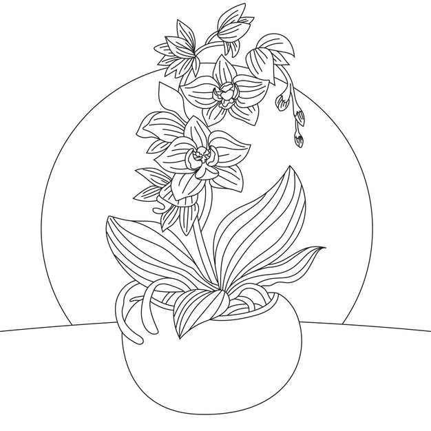 Hand drawn orchid  illustration