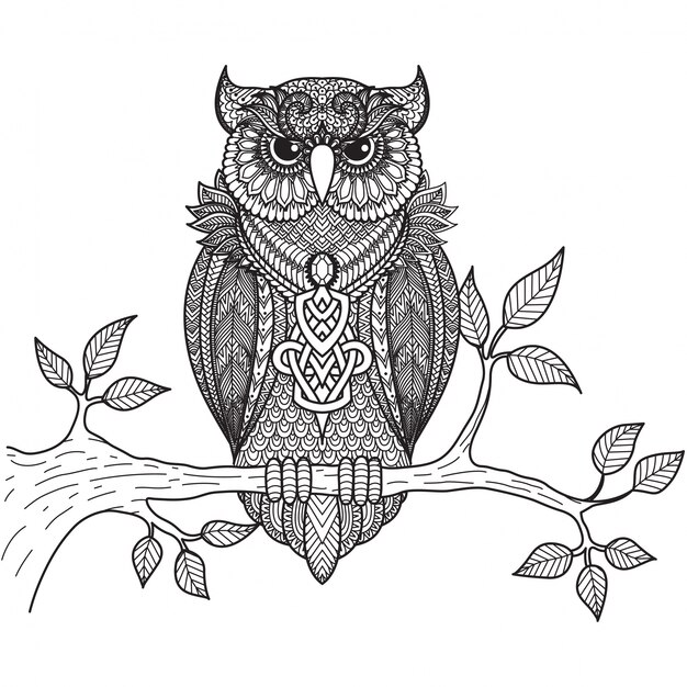 Free Vector hand drawn owl background