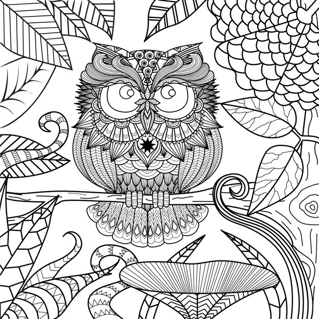 Hand drawn owl background