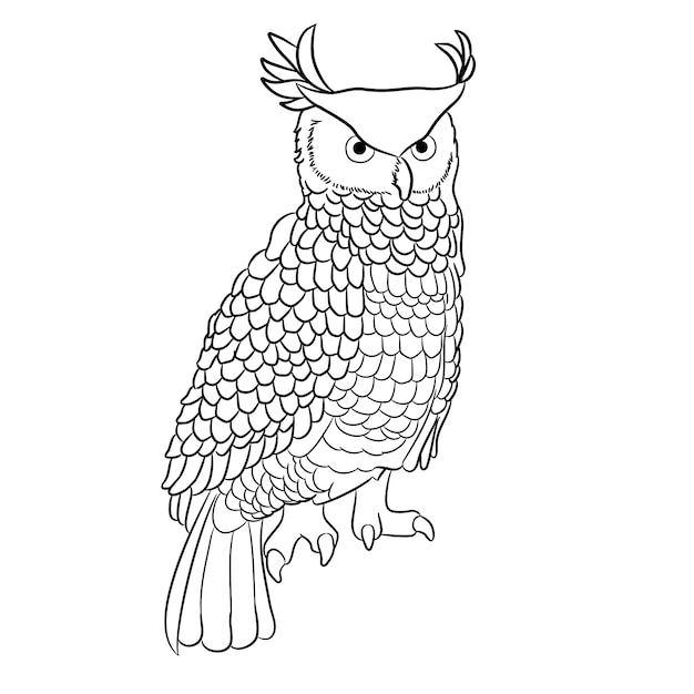 Hand drawn owl outline illustration