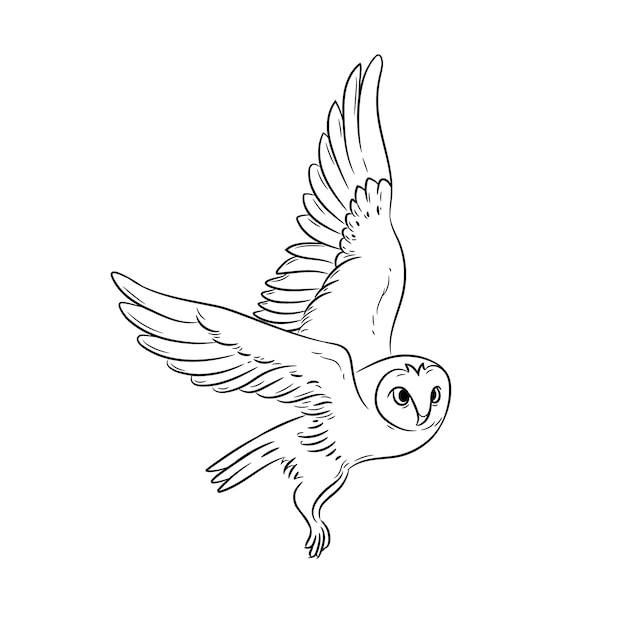 Free Vector hand drawn owl outline illustration