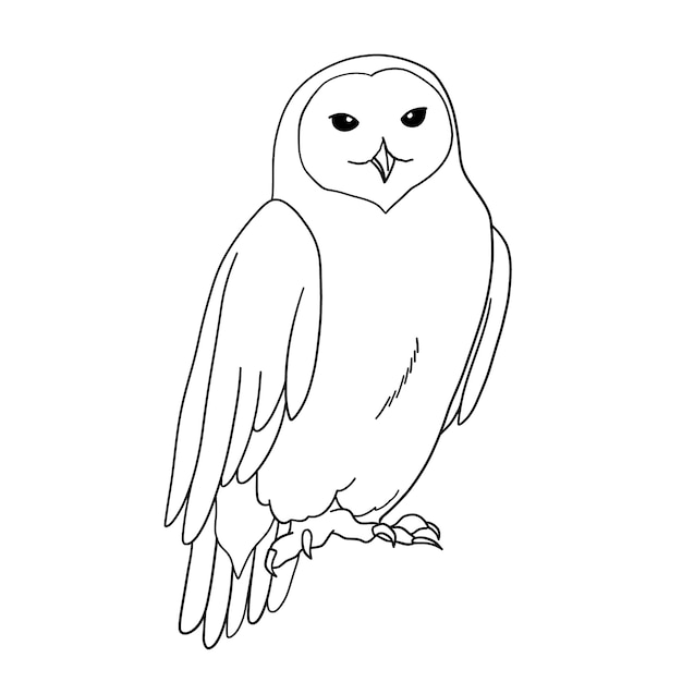 Hand drawn owl outline illustration