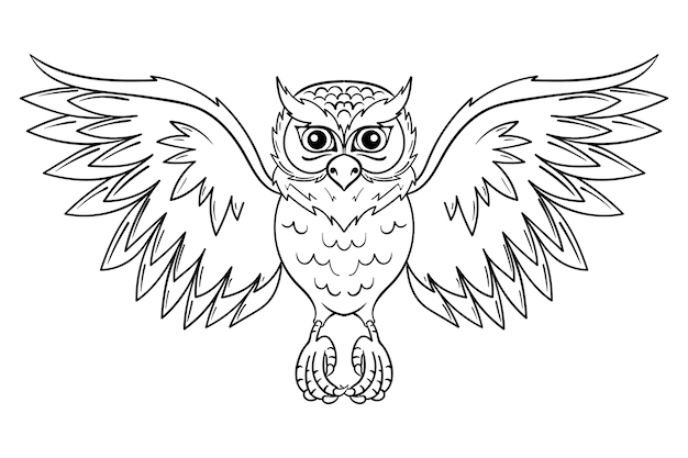 Free Vector hand drawn owl outline illustration