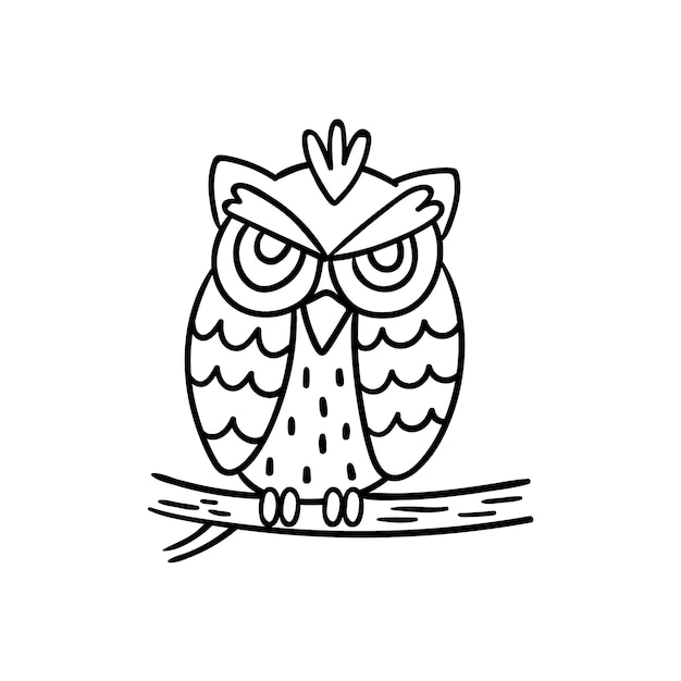 Hand drawn owl outline illustration