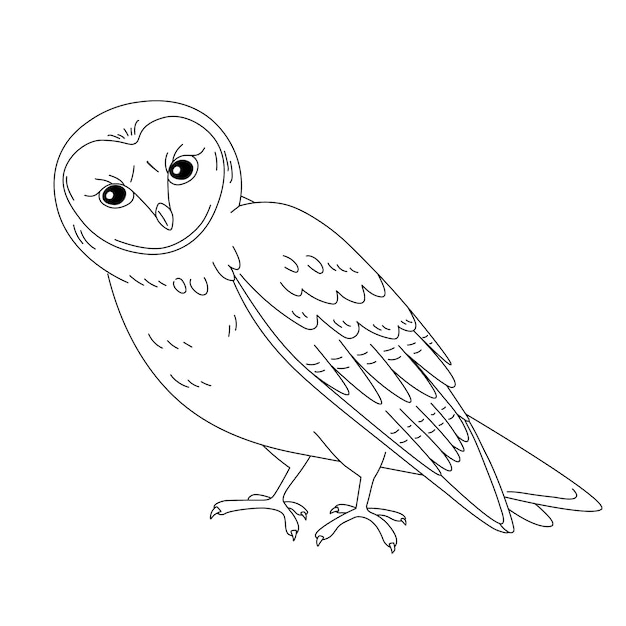 Free vector hand drawn owl outline illustration