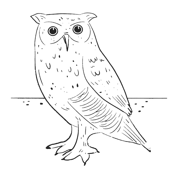 Hand drawn owl outline illustration