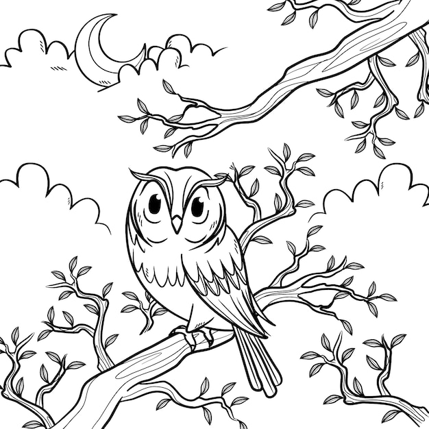 Hand drawn owl outline illustration