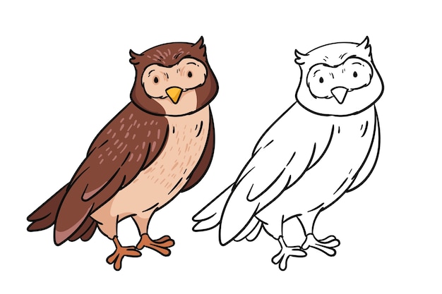 Hand drawn owl outline illustration