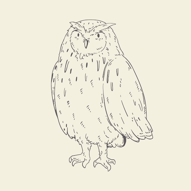 Free vector hand drawn owl outline illustration