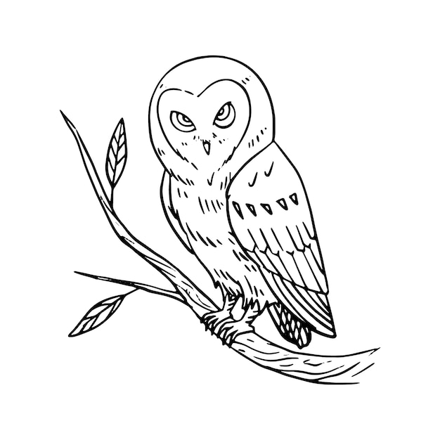 Free vector hand drawn owl outline illustration