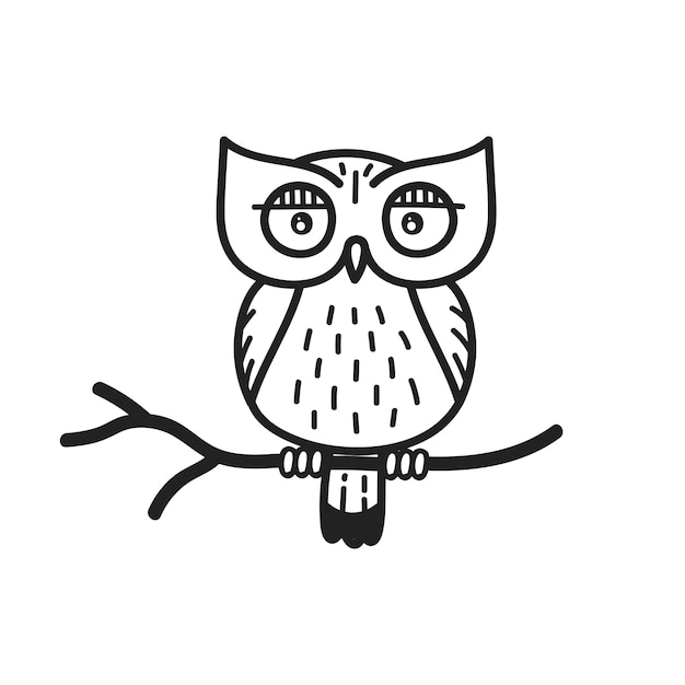 Hand drawn owl outline